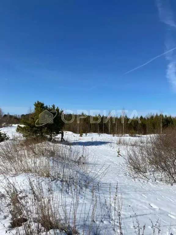 Участок в Тюменская область, Нижнетавдинский район, д. Штакульская  ... - Фото 1