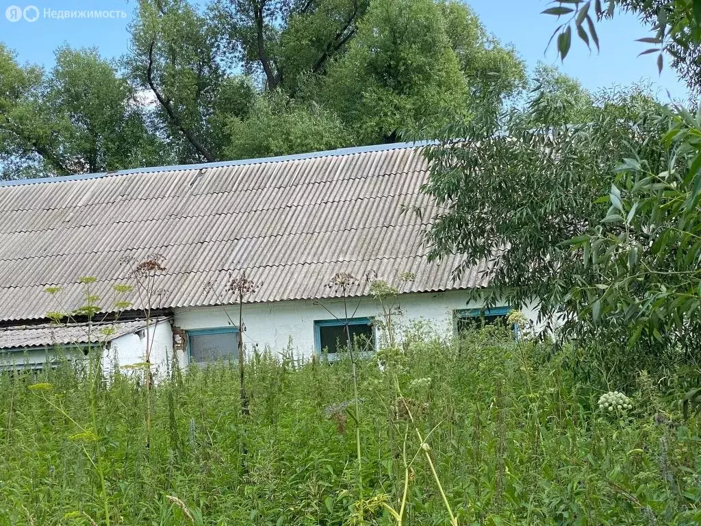 Помещение свободного назначения (339.2 м) - Фото 0