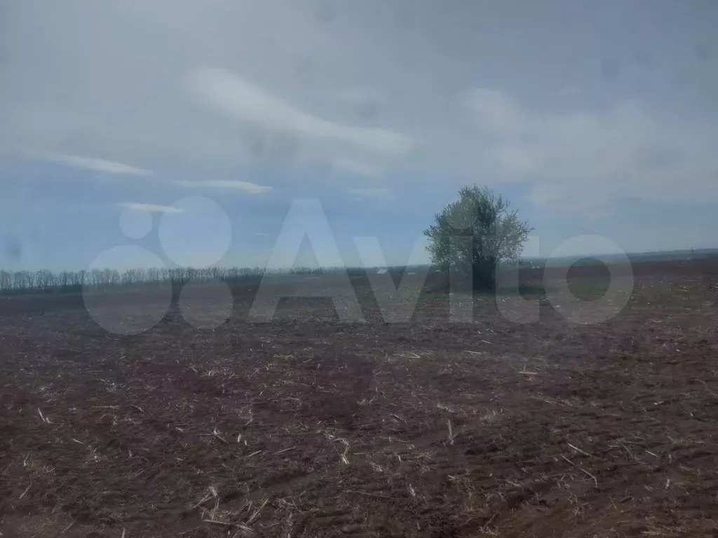 Участок 10 сот. (ИЖС) - Фото 1
