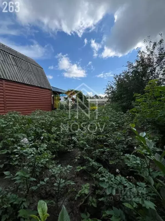 Дом в Ханты-Мансийский АО, Сургут Здоровье ДПК, ул. Брусничная (75 м) - Фото 1