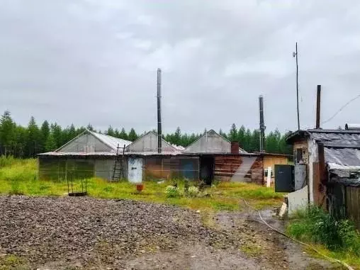 Участок в Магаданская область, Магадан Уптар пгт,  (18.81 сот.) - Фото 1
