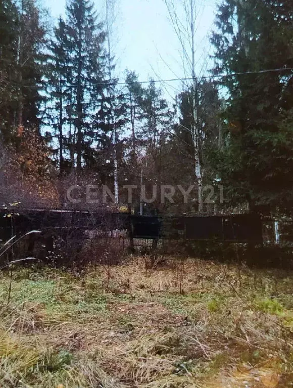 Продается дом в дп Зеленоградский - Фото 2