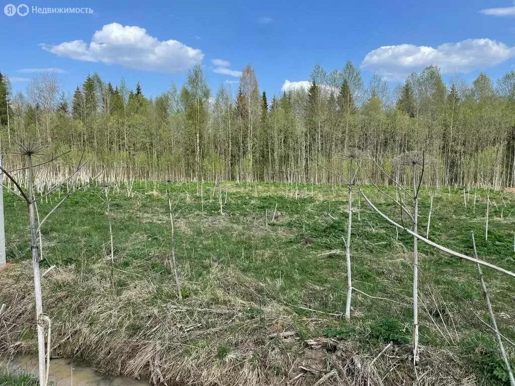 Участок в Республика Коми, муниципальный район Сыктывдинский, село ... - Фото 2