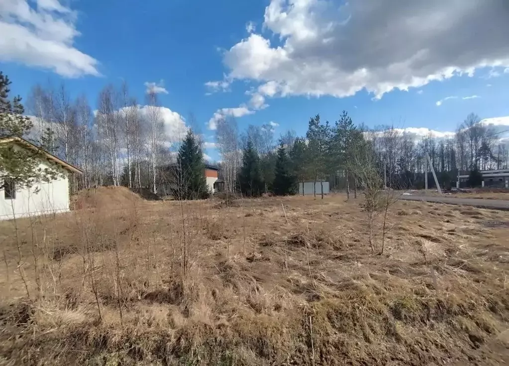 Участок в Ленинградская область, Всеволожский район, Колтушское ... - Фото 2