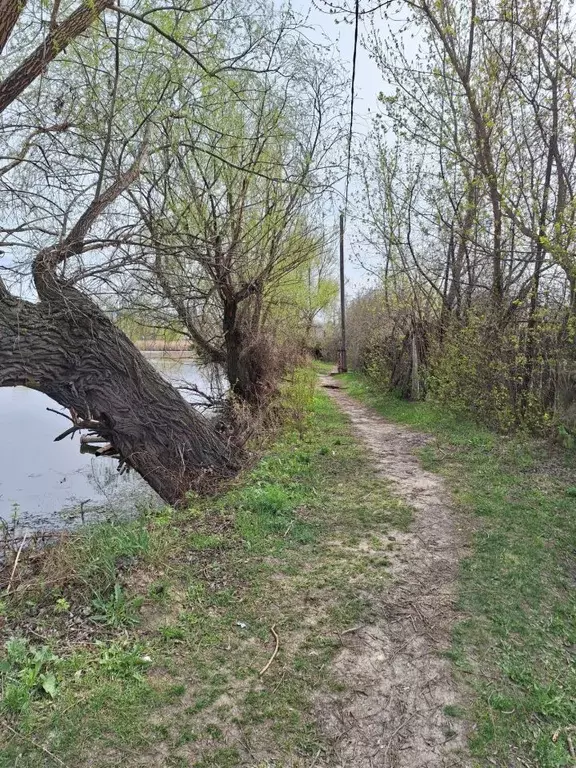 Дом в Саратовская область, Саратов Плодоягодная ул., 24 (12 м) - Фото 1