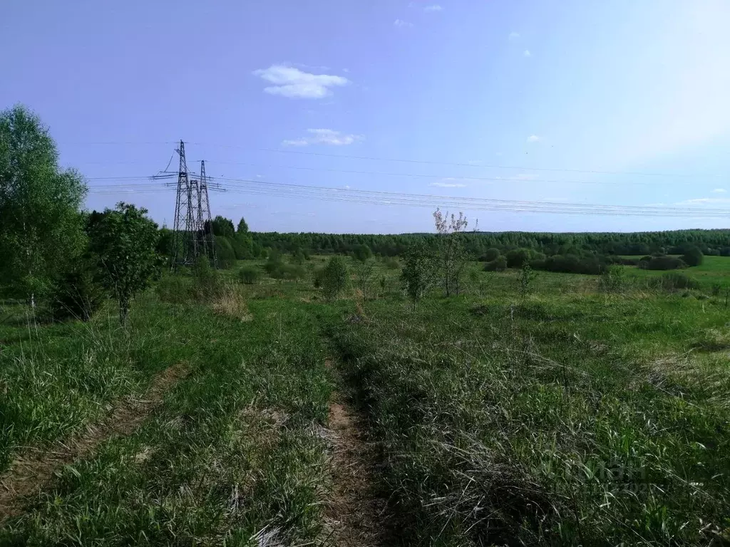Участок в Ярославская область, Переславль-Залесский муниципальный ... - Фото 2