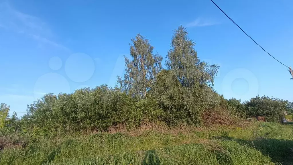 Участок 8 сот. (ИЖС) - Фото 0