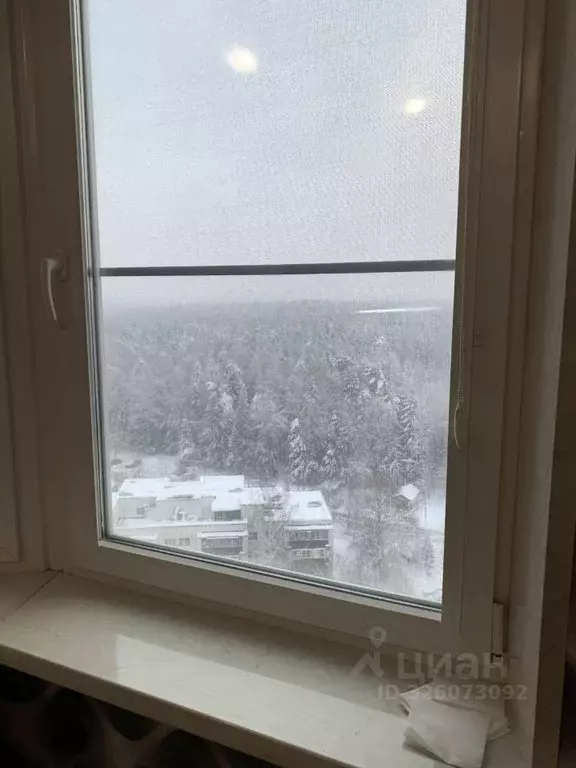 1-к кв. Московская область, Химки городской округ, д. Брехово, ... - Фото 2