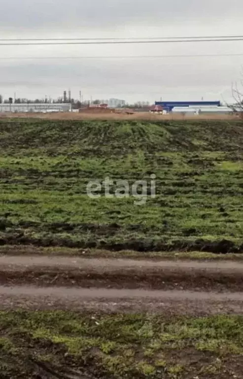 Участок в Ростовская область, Мясниковский район, Краснокрымское ... - Фото 1