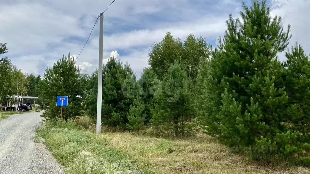 Участок в Новосибирская область, Новосибирский район, Кубовинский ... - Фото 0