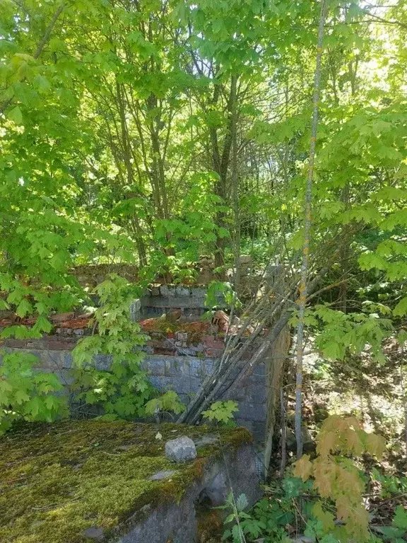 Участок в Орловская область, Мценский район, Подмокринское с/пос, д. ... - Фото 2