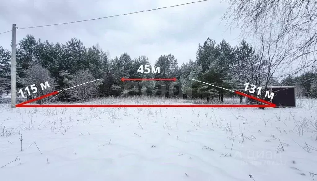 Участок в Владимирская область, Камешковский муниципальный округ, ... - Фото 1