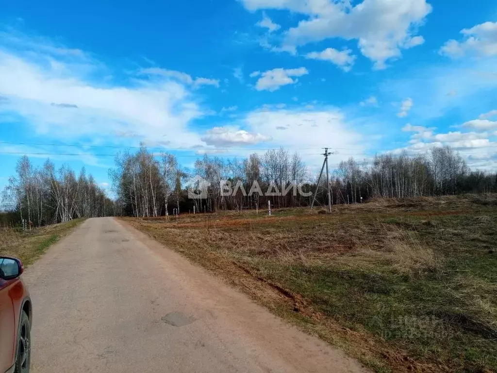 Участок в Нижегородская область, Богородский муниципальный округ, д. ... - Фото 1