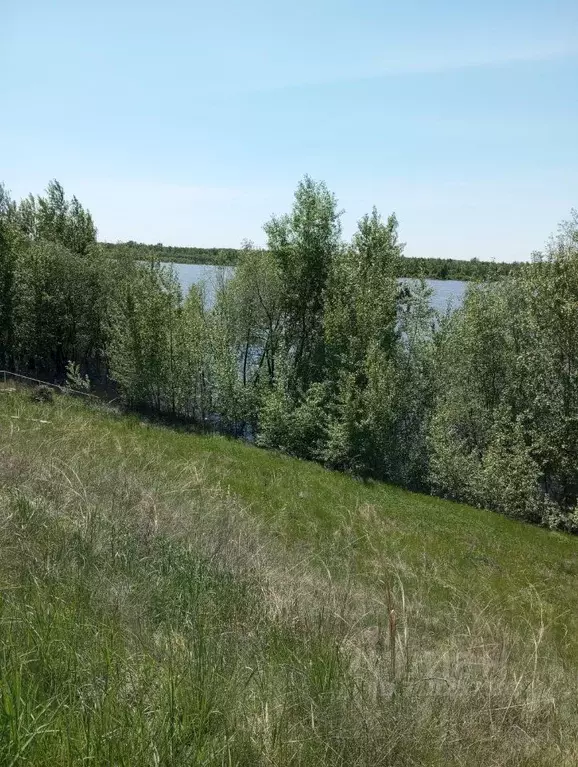 Коттедж в Омская область, Омский район, с. Усть-Заостровка, Сад СНТ  ... - Фото 0