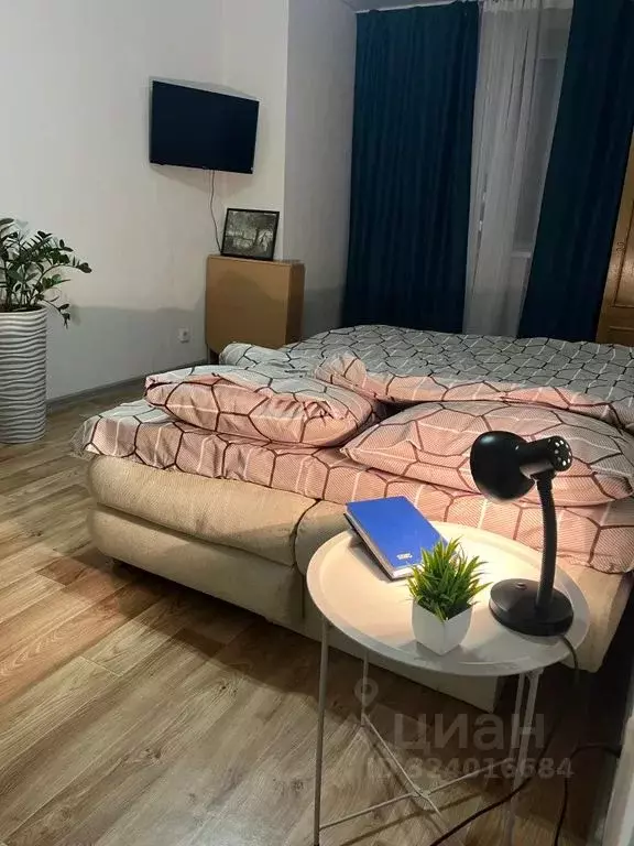 1-к кв. Саратовская область, Саратов ул. Имени К.Г. Уфимцева, 10А ... - Фото 2