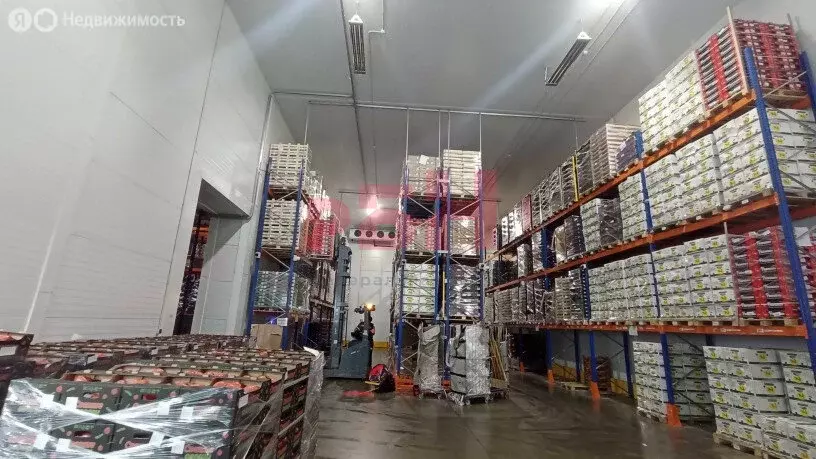 Склад (1447 м) - Фото 2