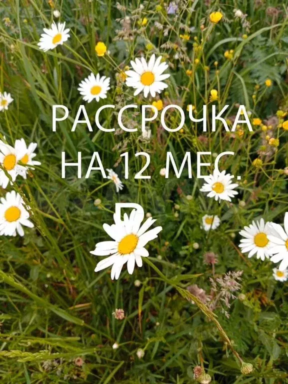 Участок 8 сот. (ИЖС) - Фото 0