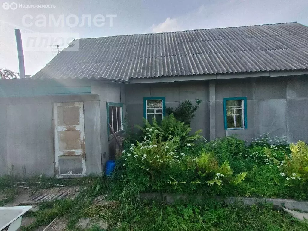 Дом в Починок, улица Чкалова, 3 (60 м) - Фото 1