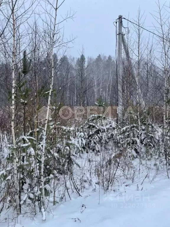 Участок в Тюменская область, Тюменский муниципальный округ, д. Якуши ... - Фото 1