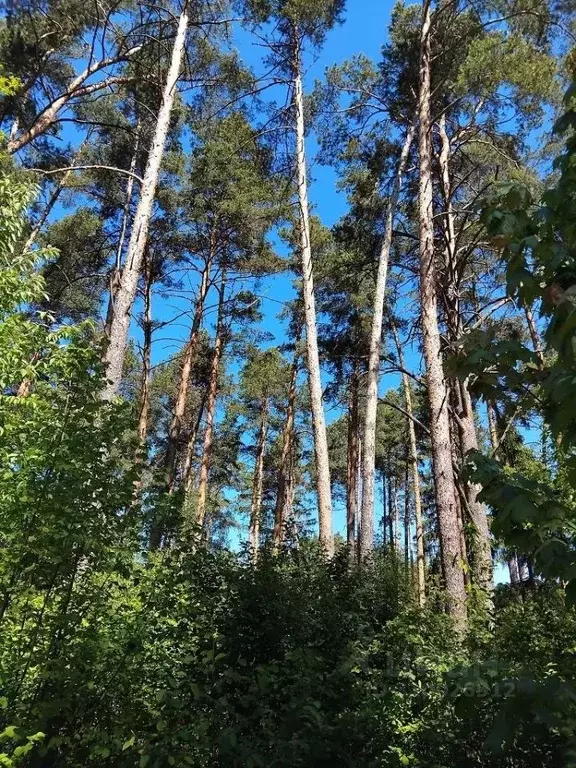 Участок в Московская область, Одинцовский городской округ, пос. дома ... - Фото 0