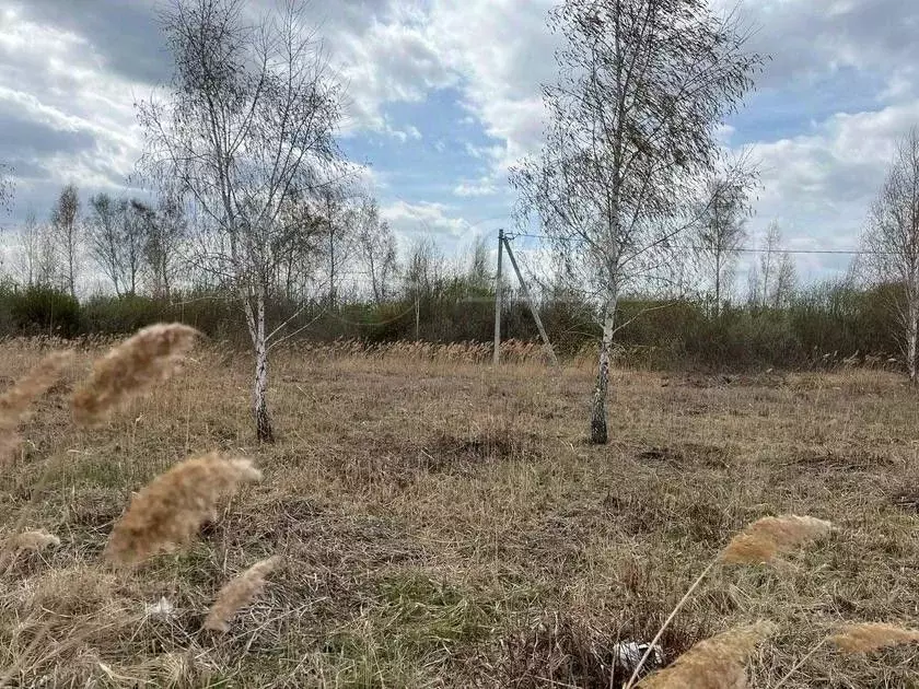 Участок в Тюменская область, Тюмень Поле Чудес садовое товарищество, ... - Фото 0