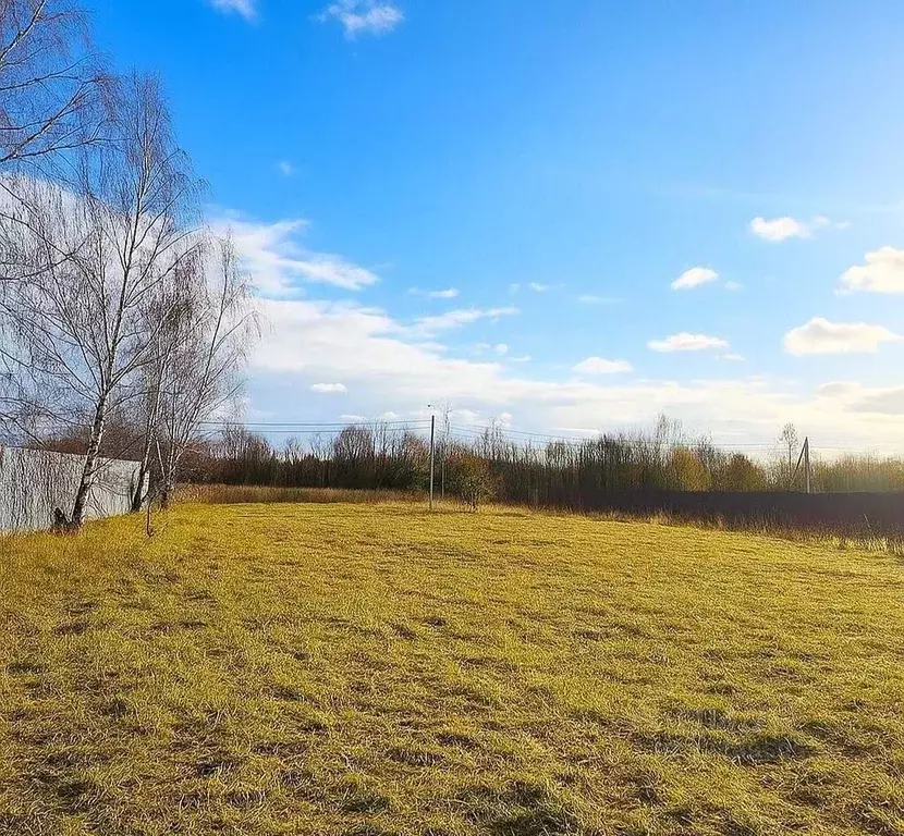 Участок в Московская область, Серпухов городской округ, д. Гавшино  ... - Фото 2