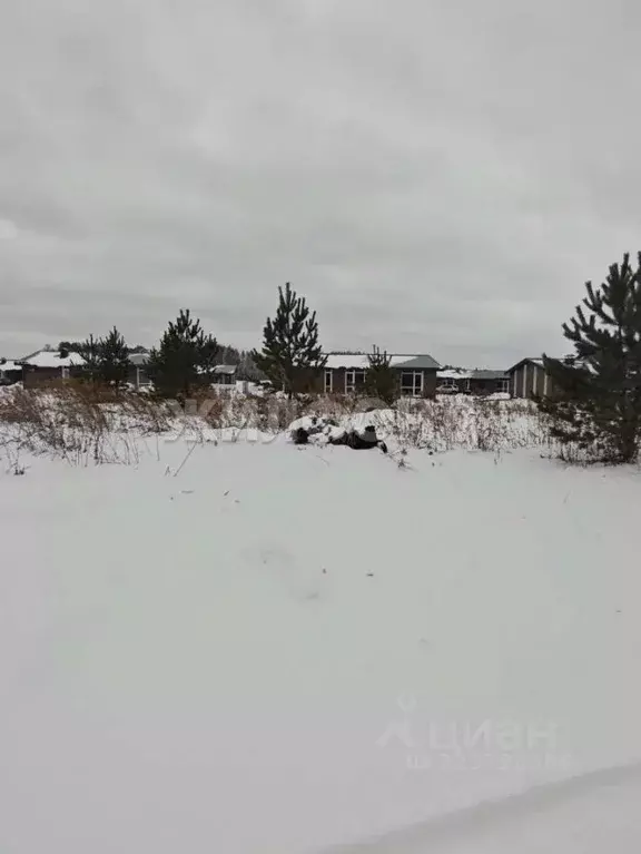 Участок в Новосибирская область, Мошковский район, пос. Октябрьский ... - Фото 1
