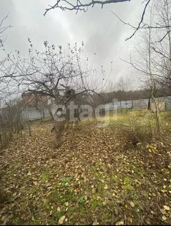 Участок в Московская область, Балашиха Щелковское ш., 6 (4.0 сот.) - Фото 0