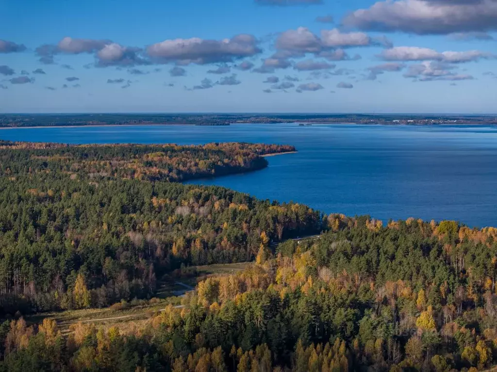 Участок в Ленинградская область, Приозерский район, Громовское с/пос, ... - Фото 0