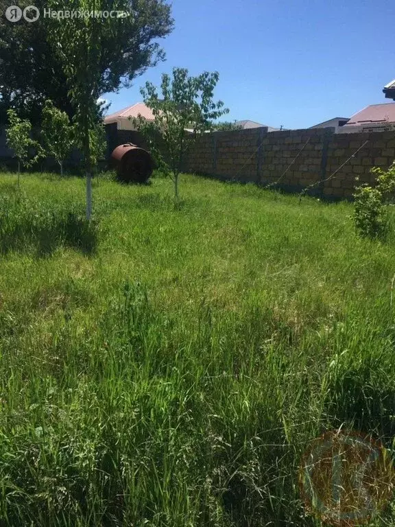 Участок в Пионерское, улица Чора-Батыр, 7 (6.3 м) - Фото 2