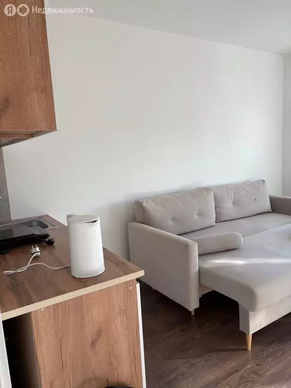 Квартира-студия: Санкт-Петербург, Муринская дорога, 31к2 (20 м) - Фото 1
