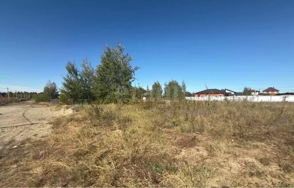 Участок в Воронежская область, Рамонский район, Новоживотинновское ... - Фото 1