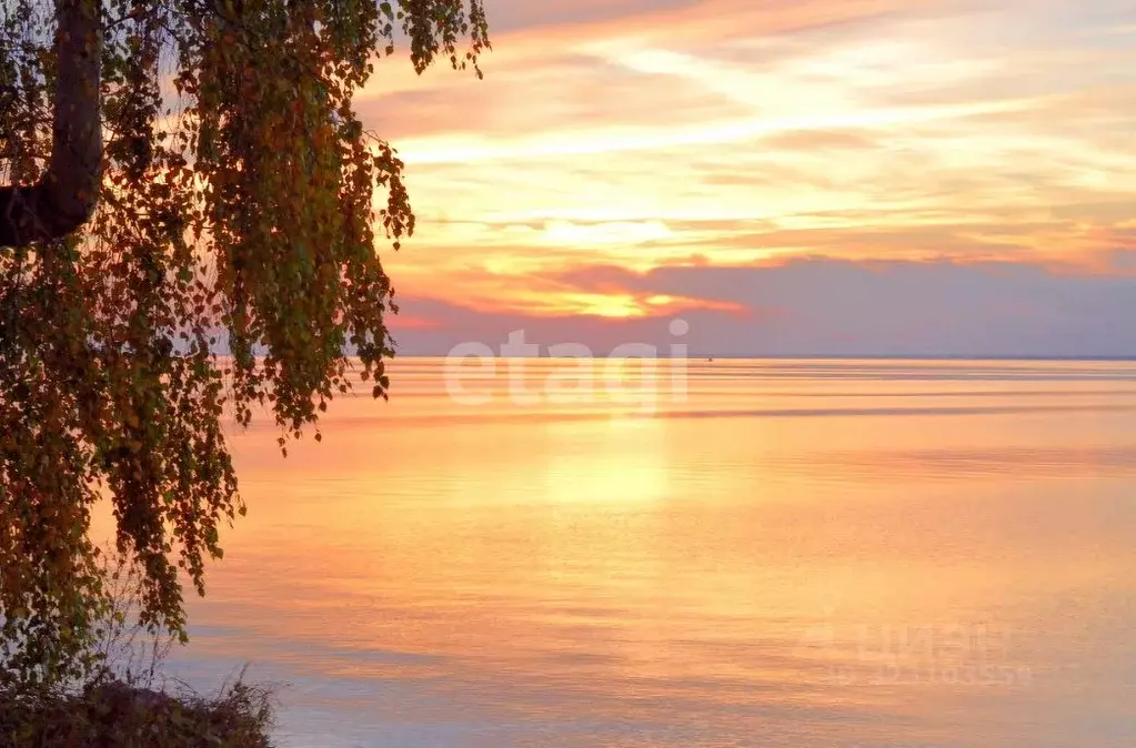 Участок в Новосибирская область, Искитимский район, Совхозный ... - Фото 1