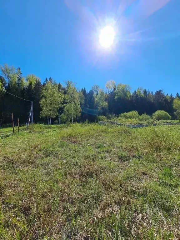 Участок в Московская область, Пушкинский городской округ, д. Хлопенево ... - Фото 2