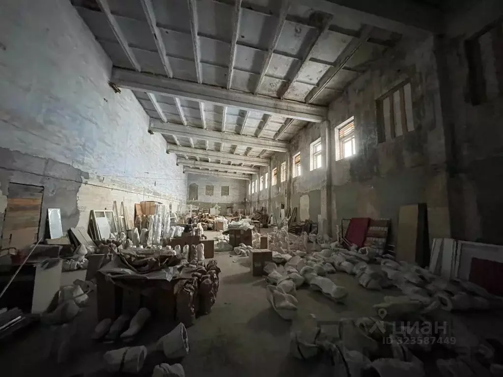 Производственное помещение в Пензенская область, Кузнецкий район, с. ... - Фото 2