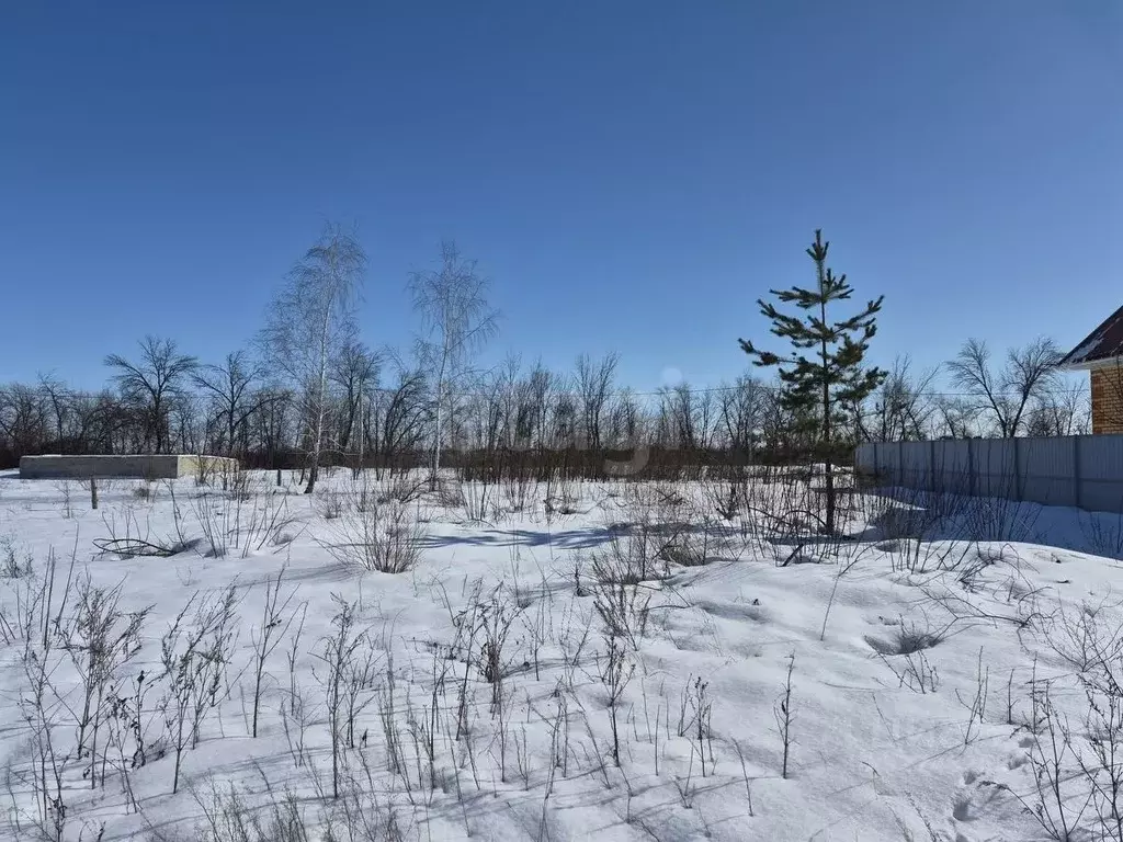 Участок в Воронежская область, Борисоглебск ул. Семейная, 12 (6.43 ... - Фото 1