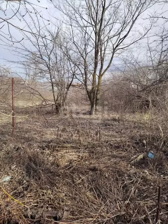 Участок в Ульяновск, СНТ Полёт-2 (6.9 м) - Фото 1