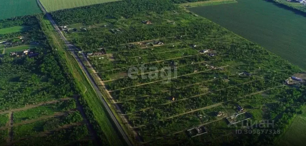 Участок в Ростовская область, Родионово-Несветайский район, ... - Фото 0