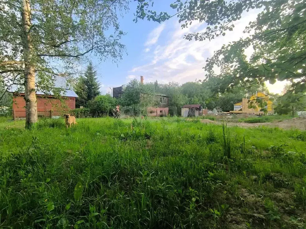 Продается участок в д. Надовражино - Фото 1