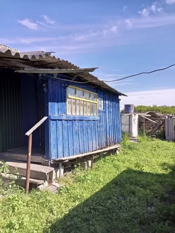 Дом в Белгородская область, Новооскольский городской округ, с. ... - Фото 0