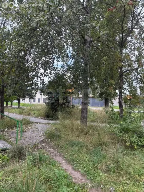 Помещение свободного назначения (40 м) - Фото 1