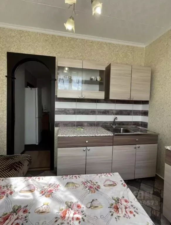 1-к кв. Ленинградская область, Тосненское городское поселение, д. ... - Фото 1