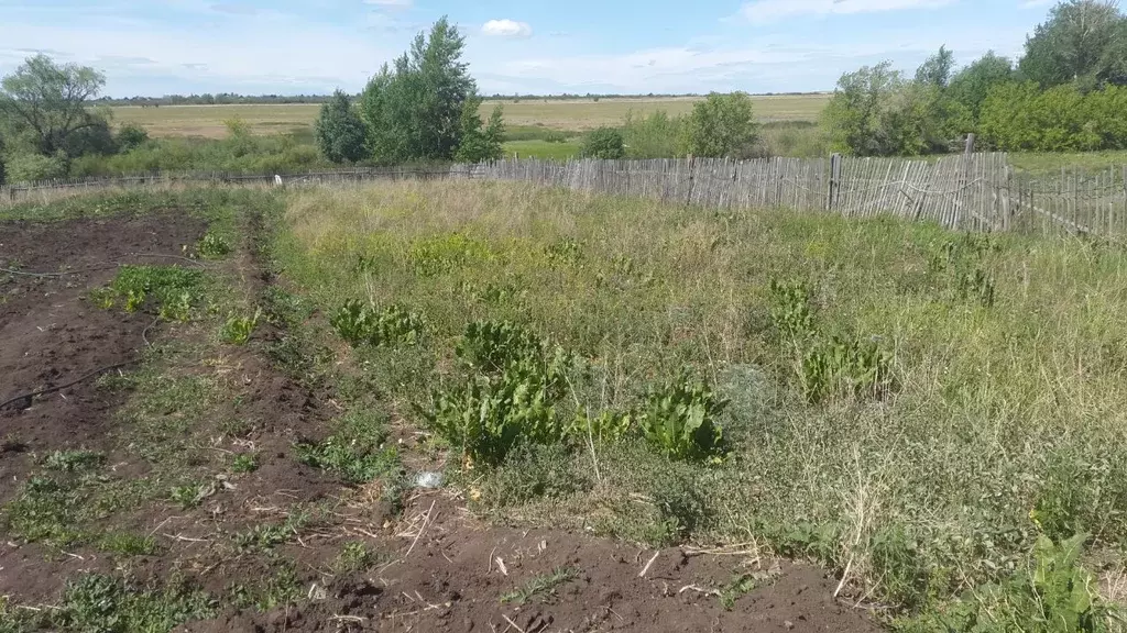 Участок в Башкортостан, Баймакский район, Сибайский сельсовет, д. ... - Фото 2