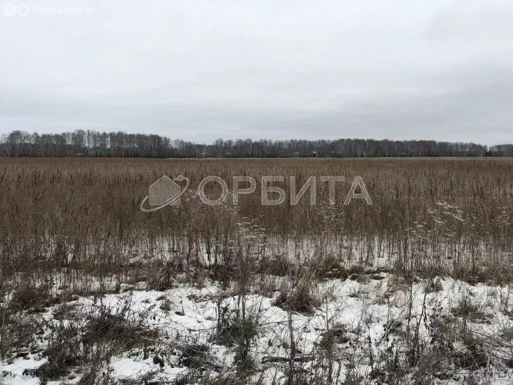 Участок в Тюмень, садовое общество Поляна (10 м) - Фото 1