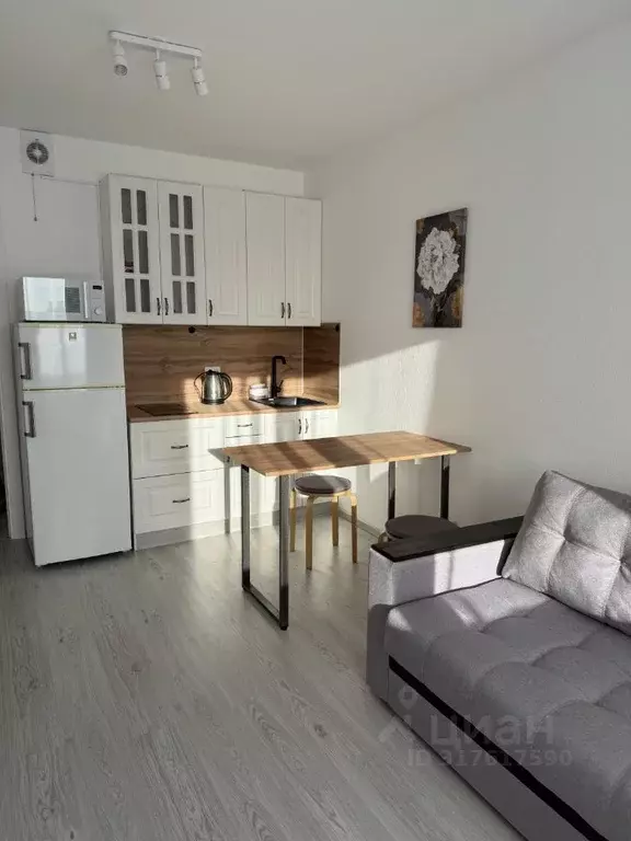 Студия Санкт-Петербург ул. Пейзажная, 24к2 (20.6 м) - Фото 1