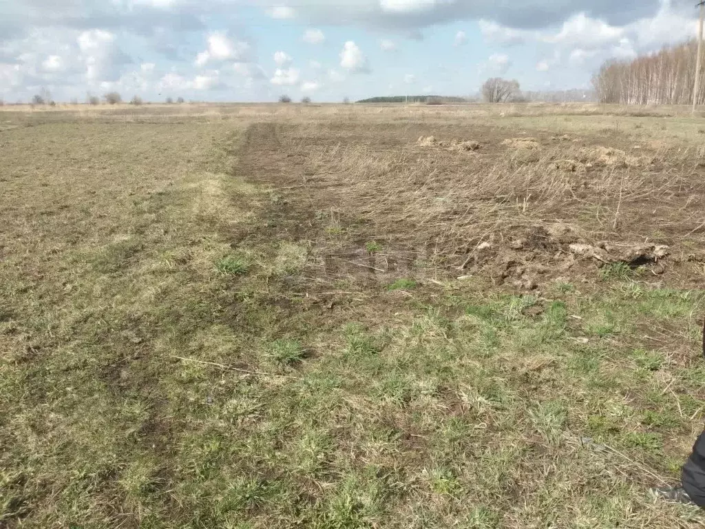 Участок в Мордовия, Лямбирский район, Болотниковское с/пос, с. ... - Фото 1