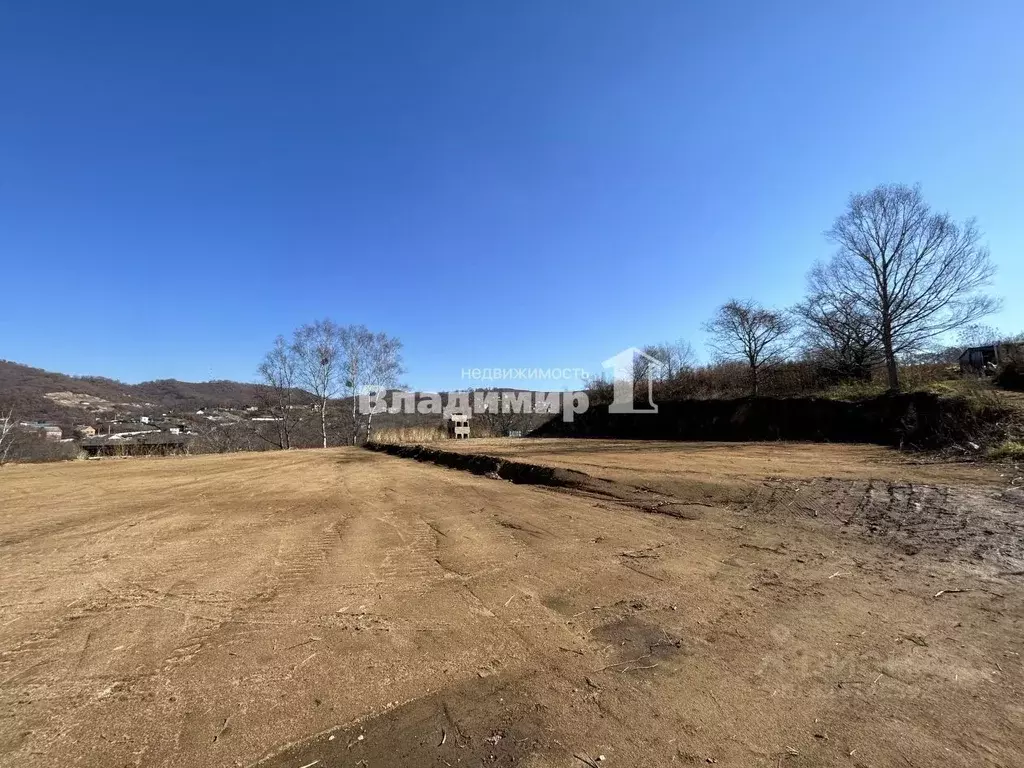 Участок в Приморский край, Партизанский муниципальный округ, Лебединая ... - Фото 1