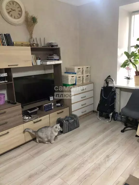 Комната Московская область, Ивантеевка Пушкинский городской округ, ... - Фото 1