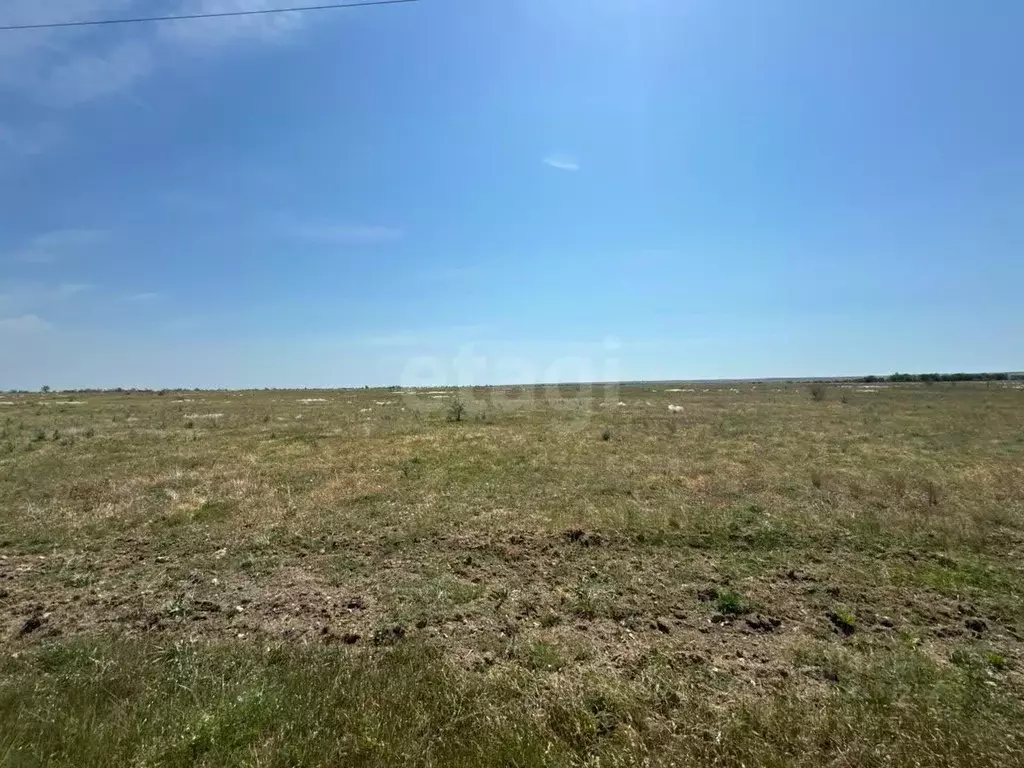 Участок в Крым, Черноморский район, с. Межводное ул. Харьковская (9.45 ... - Фото 0