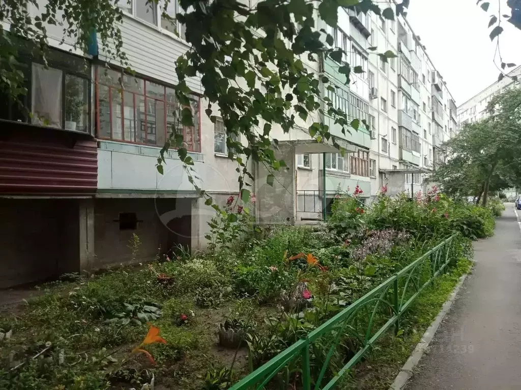2-к кв. Курганская область, Курган просп. Конституции, 64А (44.6 м) - Фото 0